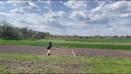 Son dakika haberi | Ukrayna'nın Lipivka köyünde Rus saldırılarının ardından mahsul ekimine başlandı