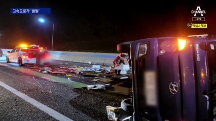 화물차서 쏟아진 벌통 60개…벌떼에 ‘벌벌’ 떤 고속도로