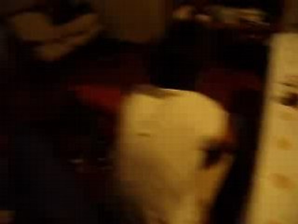 VcP2008