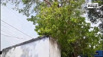 ஒட்டன்சத்திரம் கோயில் திருவிழாவில் மின்சாரம் பாய்ந்து சிறுவன் உயிரிழப்பு; சோகம்!