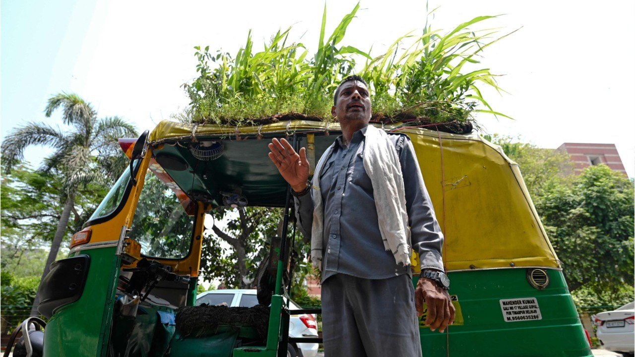 Inde : il installe un jardin sur le toit de son tuk-tuk pour garder les passagers au frais