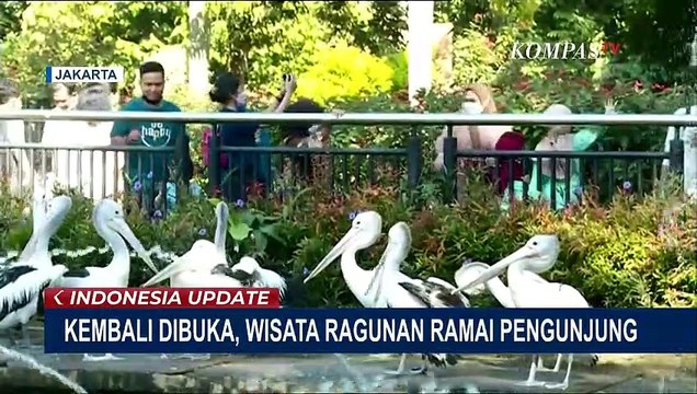 Jadi Lokasi Wisata Pilihan Keluarga, Pengunjung Padati Kebun Binatang Ragunan