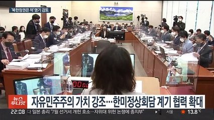 국방백서에 '북 정권은 적' 명시 검토…가치·실용 외교도