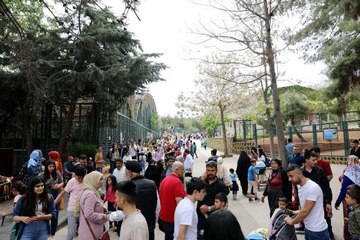 GAZİANTEP HAYVANAT BAHÇESİ'NDE EN YOĞUN İLGİ BEYAZ KAPLAN 'KAR TOPU'NA