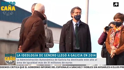¿En qué consisten las leyes de género que ha impulsado Feijóo al frente de la Xunta de Galicia?