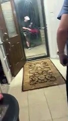 Ordered Pizza but Was Delivered CAKE