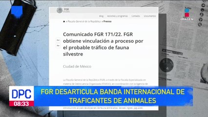 FGR desarticula organización internacional de traficantes de animales