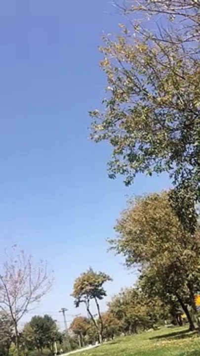 Pas e Ulfat Na Sahi