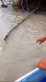Mancing Ikan Lele Besar di Sungai Pakai Kapal Kecil Ternyata Ikan Baung