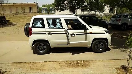 VIDEOफिर सलाखों के पीछे पहुंचे पूर्व सभापति राठौर