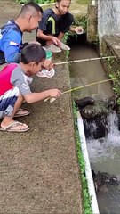 tidak disangka selokan kecil penuh ikan wader saat bang udin memancing, best fishing video #shorts