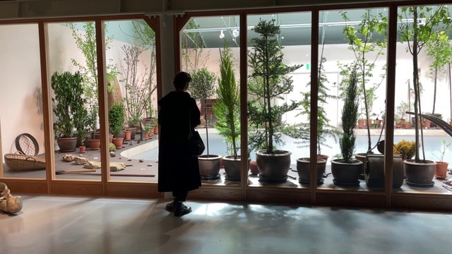 Tate Liverpool exhibition ‘Radical Landscapes’ explores climate emergency