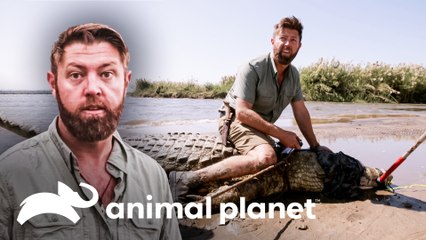 Crocodilo temido é capturado | Criaturas Misteriosas com Forrest Galant | Animal Planet Brasil