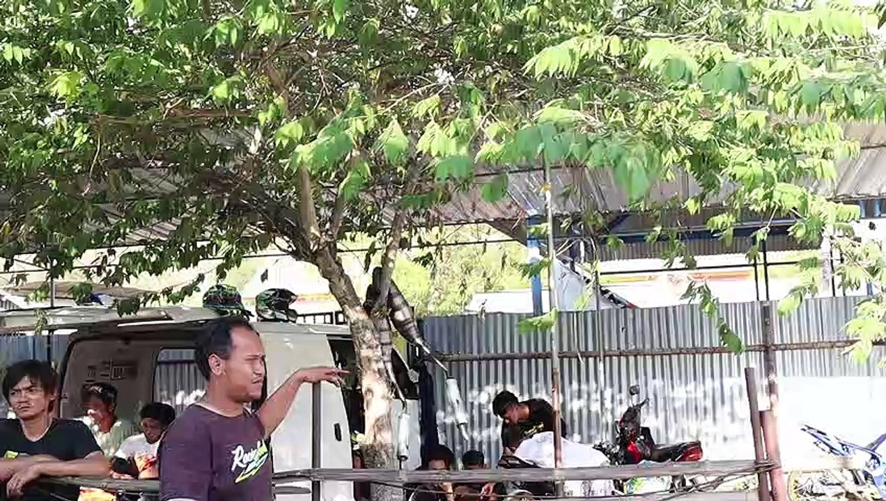 drag bike tanah jawa part 29
