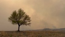 Smoky wildfires surge in parts of New Mexico