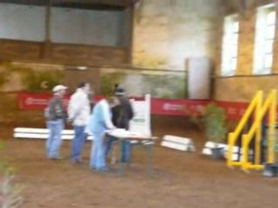 Etalons Poney Haras du PIn Mars 2008 LEOPARD DE MAHOUD 4