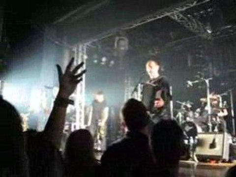 Tetes raides palladium 009