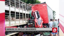 BR-376: caminhão carregado com porcos se envolve em acidente; veja