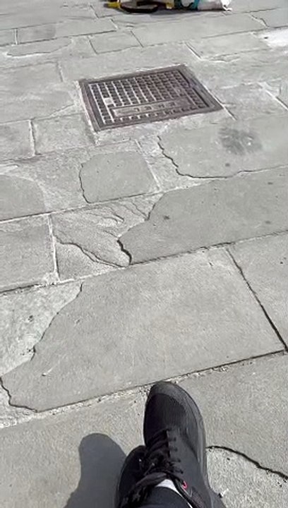 Tired Doggo Takes a Nap During Walk