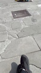 Tired Doggo Takes a Nap During Walk