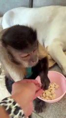 Just Hanging out with my sisters snacking on puffs!