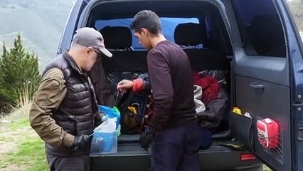 Laboratorio de Venezuela busca salvar a rana única amenazada de extinción