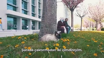 Mansur Yavaş'tan dikkat çeken video: Yine fışkiye civarında hareket var gibi