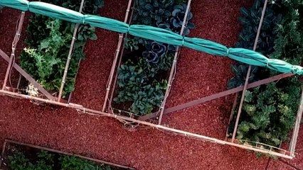 The Zero Waste Family on Talking to Kids About Climate Change