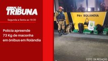 Polícia apreende 73 Kg de maconha em ônibus em Rolândia