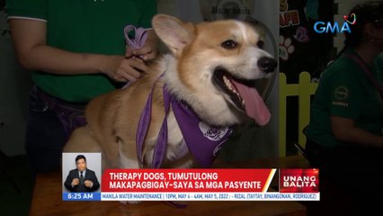 Therapy dogs, tumutulong makapagbigay-saya sa mga pasyente | UB