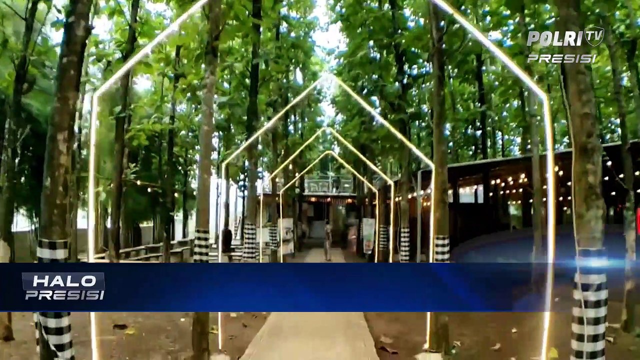 Menikmati Sensasi Makan Es Krim di Tengah Hutan Jati