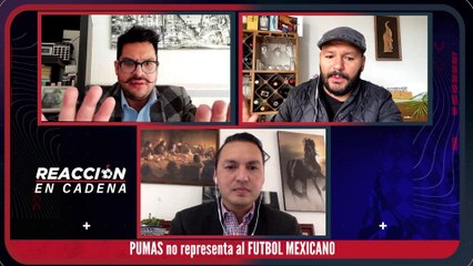 Pumas irrespetuoso - Reacción en Cadena