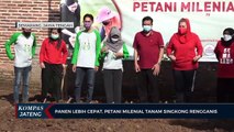 Panen Lebih Cepat, Petani Milenial Tanam Singkong Rengganis