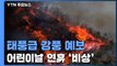초속 25m 넘는 태풍급 '양간지풍'...어린이날 연휴 '산불 비상' / YTN