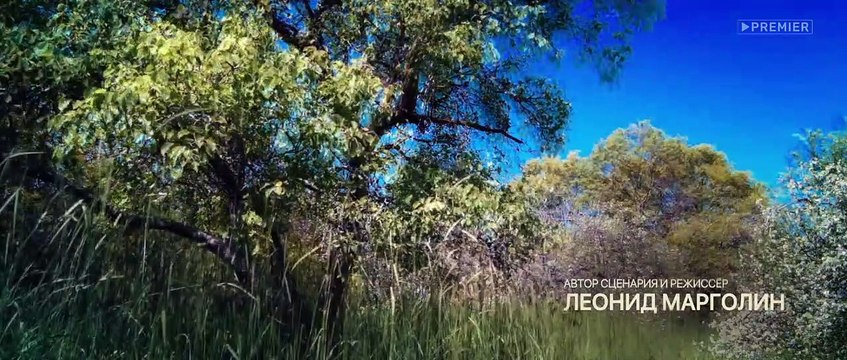 Здравствуйте, вам пора! - 10 серия