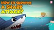 How To Survive A Shark Attack? | Shark Attack Tips | The Dr Binocs Show | Peekaboo Kidz