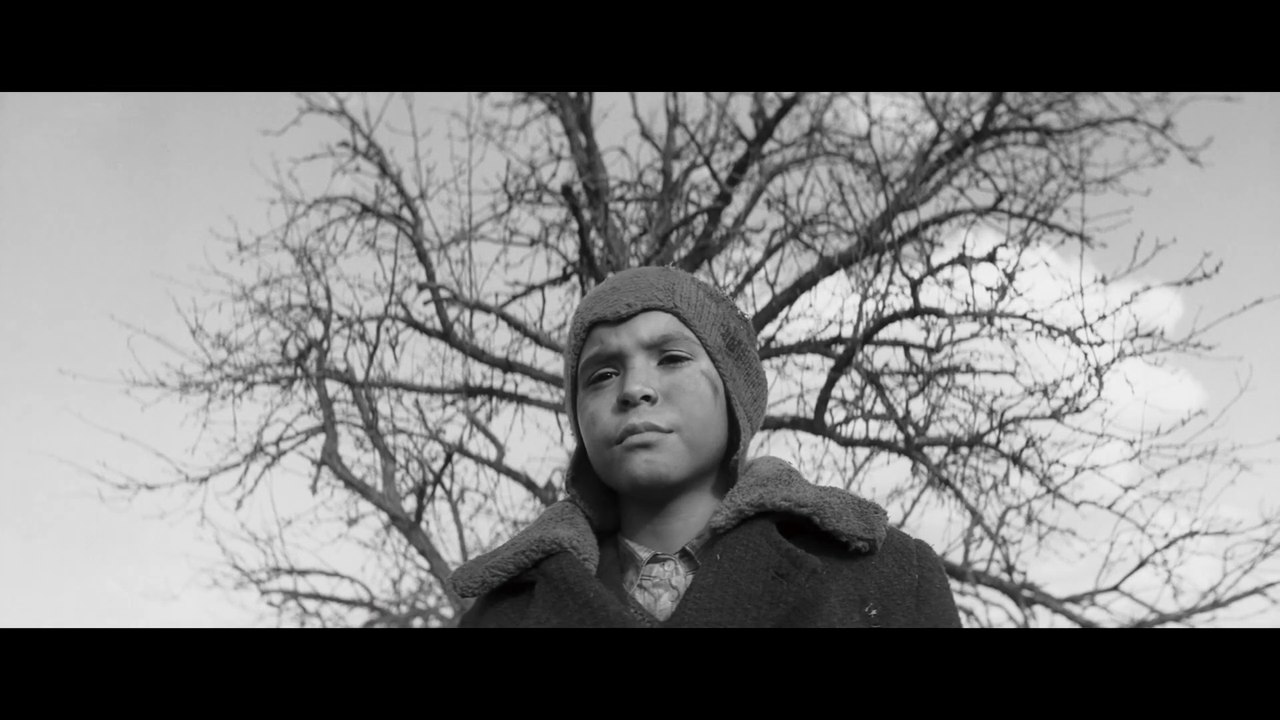 The Painted Bird - Trailer (Deutsch) HD