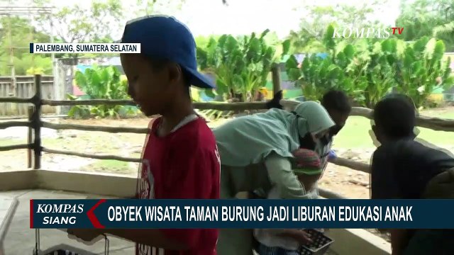 Liburan Sambil Belajar, Taman Burung Jadi Wisata Pilihan Orang Tua untuk Edukasi Anak