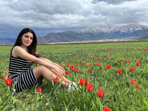 MUŞ LALESİ, OVAYI KIRMIZIYA BOYADI