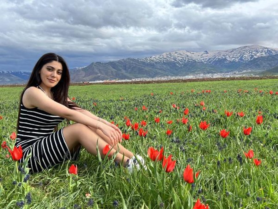 MUŞ LALESİ, OVAYI KIRMIZIYA BOYADI