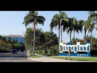 Disney pays $100000 to settle bedbug lawsuit