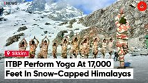 Indo-Tibetan Border Police Participate in Yoga at 17,000 Feet Snow-Covered Himalayas