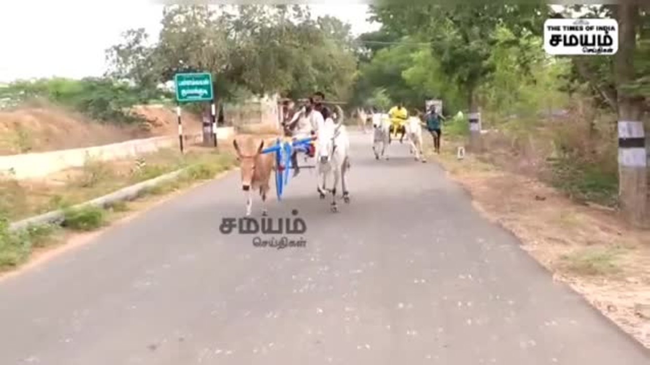 தேவகோட்டையில்  மாட்டு வண்டி பந்தயம்; சீறிப்பாய்ந்த காளைகள்!