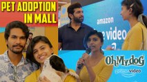 Pet Adoption in Brooks Mall  | Oh my Dog  | Harija Vlogs