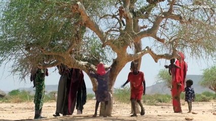 20 مليون شخص تهددهم المجاعة بسبب الجفاف في القرن الأفريقي