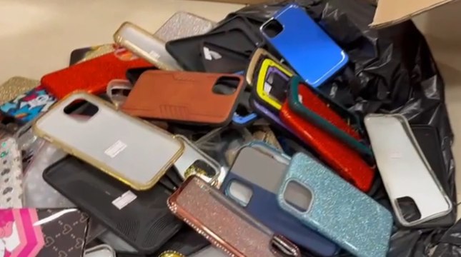 Versilia, sequestrate migliaia di cover per cellulari e altri prodotti non sicuri (04.05.22)