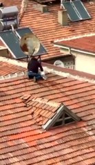 Elazığ'da vatandaşın çatıdaki tehlikeli yürüyüşü yürekleri ağza getirdi