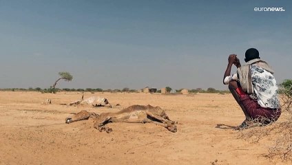 20 milhões de pessoas no limiar da fome