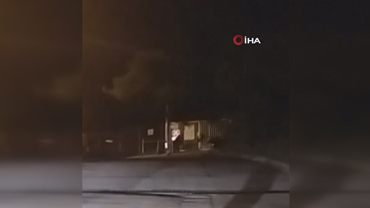 Bursa şehir merkezinde ayı paniği: Burun buruna geldiler