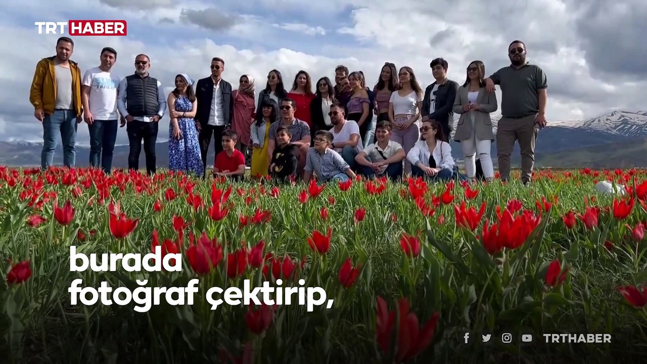 Muş Ovası kırmızıya boyandı